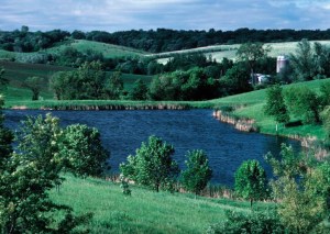 Farm_pond_in_jasper_county_iowa